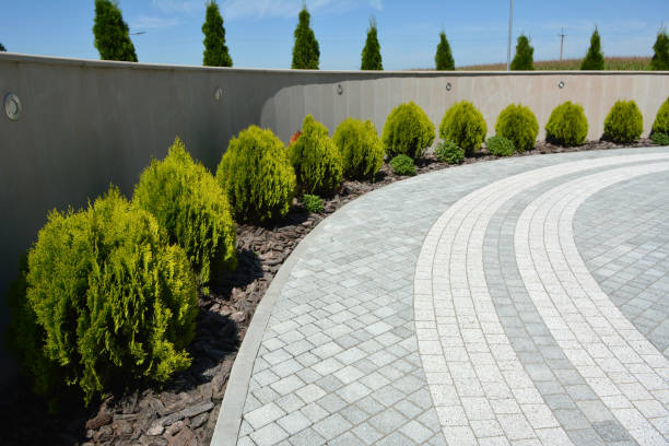 Best Interlocking Driveway Pavers  in Centuria, WI